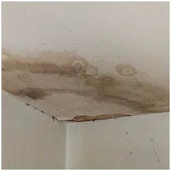 Hallandale Beach Emergency Restoration Hallandale Beach, FL 954-399-6342 Hallandale Beach Emergency Restoration Hallandale Beach, FL 954-399-6342 - side-water-leaks-wgr-11